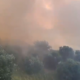 Analisi critica sull’incendio di Panajanë a Vlora: dinamiche e implicazioni ambientali